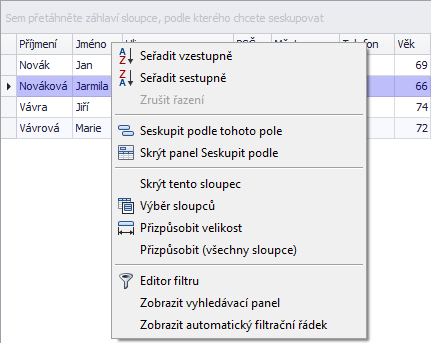 Kontextová nabídka pro záhlaví sloupce